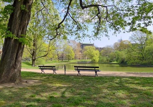 nur 100 Meter zum grünen Park