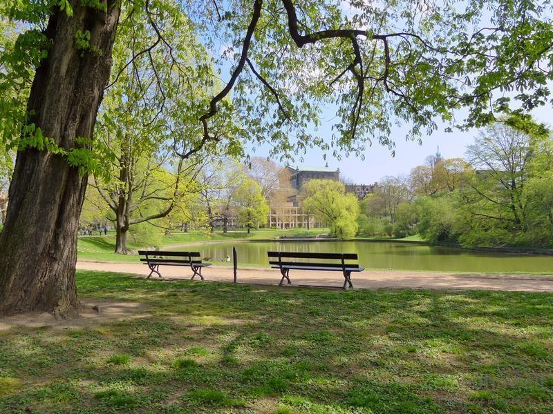 nur 100 Meter zum grünen Park