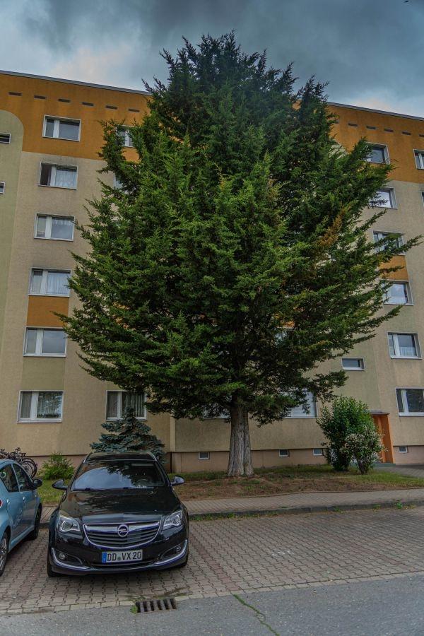 Stellplatz und Hausansicht