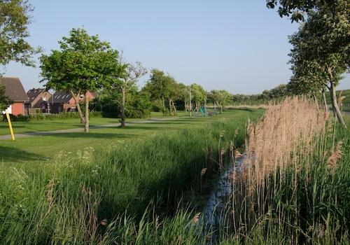 Parkanlage in 200m Entfernung