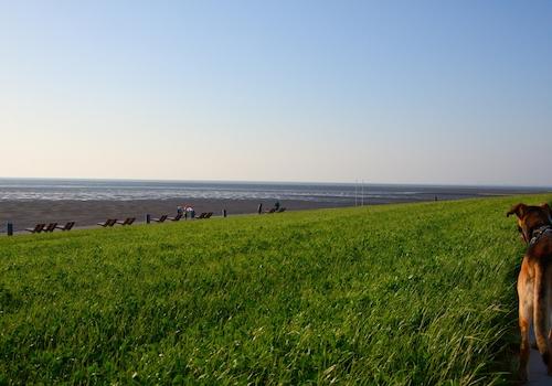 Trischendiek Strand