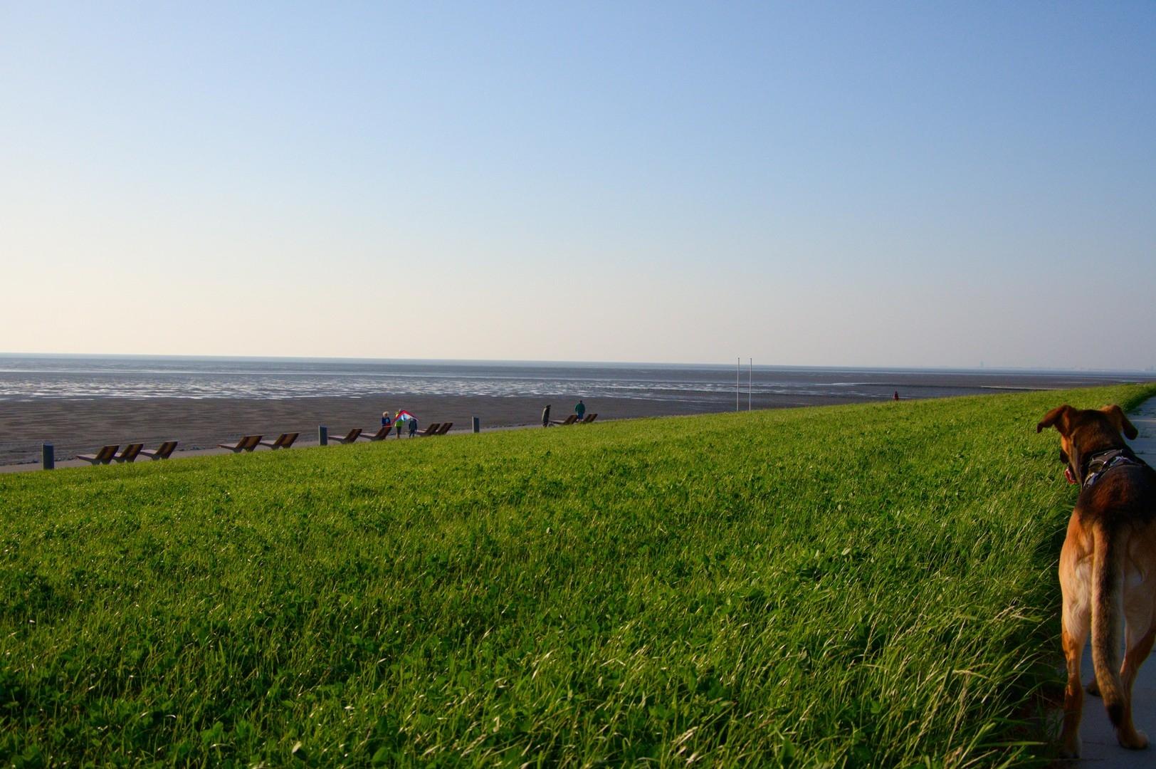 Trischendiek Strand