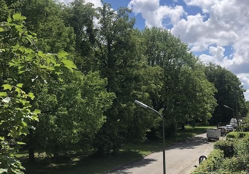 Blick vom Balkon