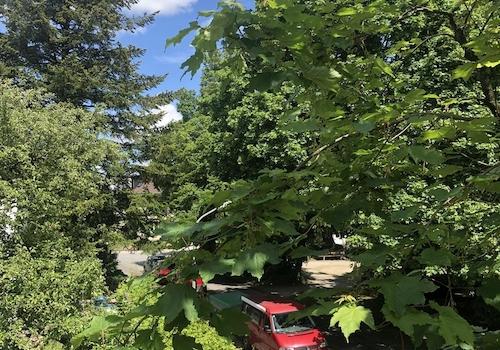 Blick vom Balkon