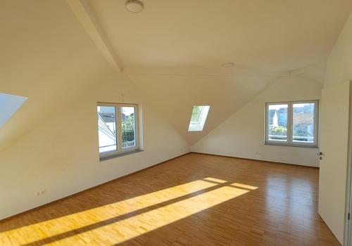 Zimmer DG