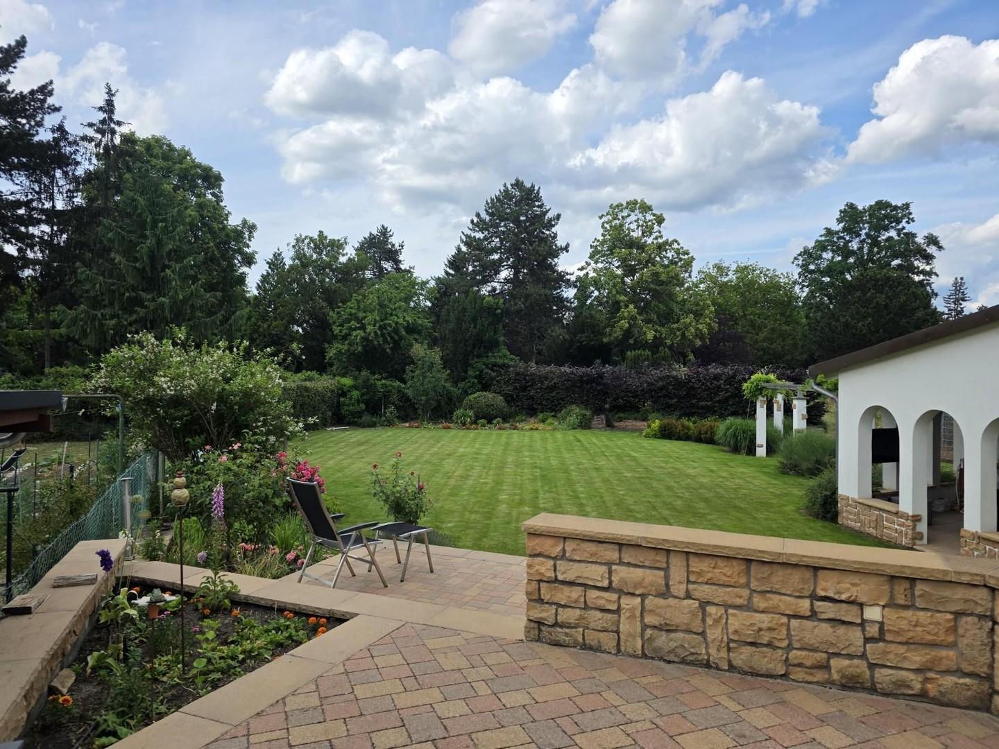 Blick Terrasse -> Garten
