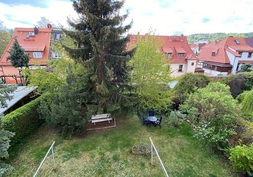 Garten hinterm Haus