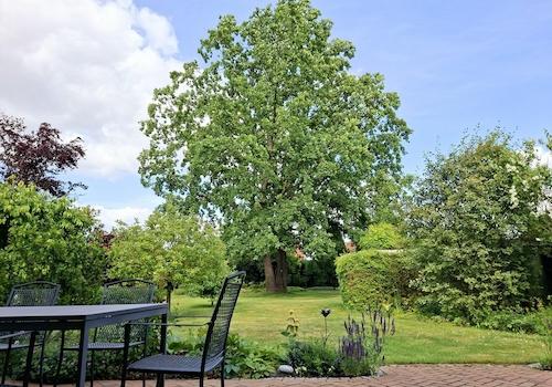 Blick von der Terrasse
