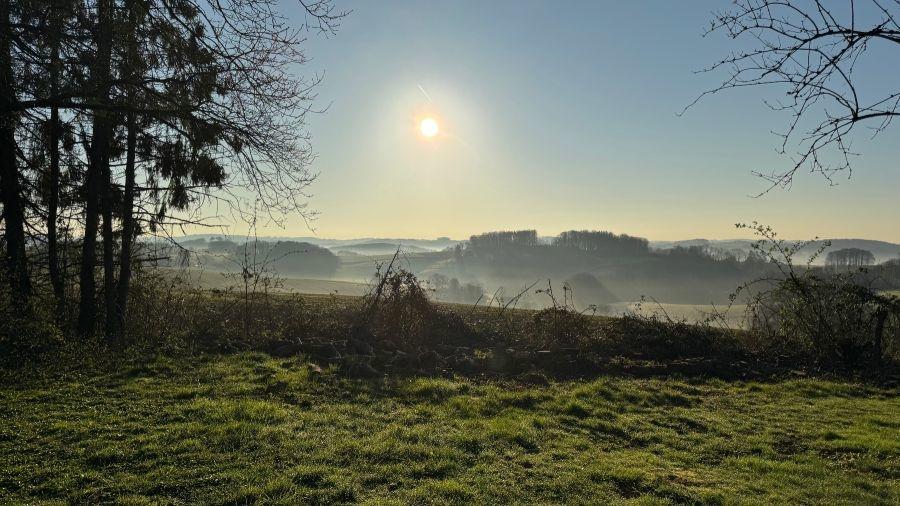 Fernblick vom Grundstück morgens