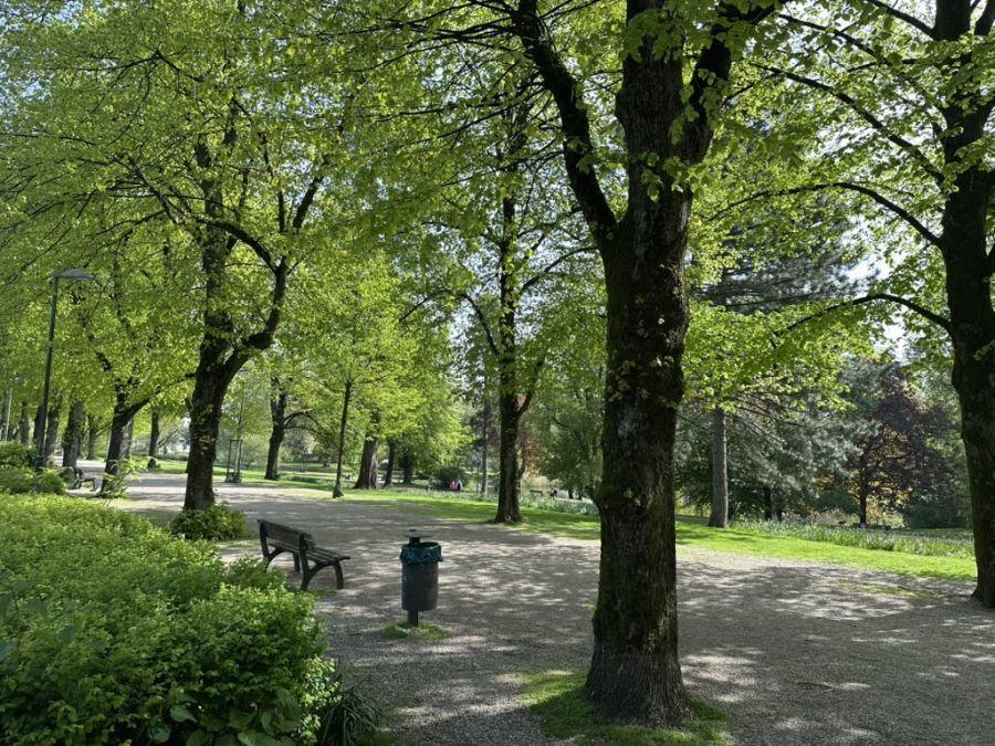 Stadtgarten II