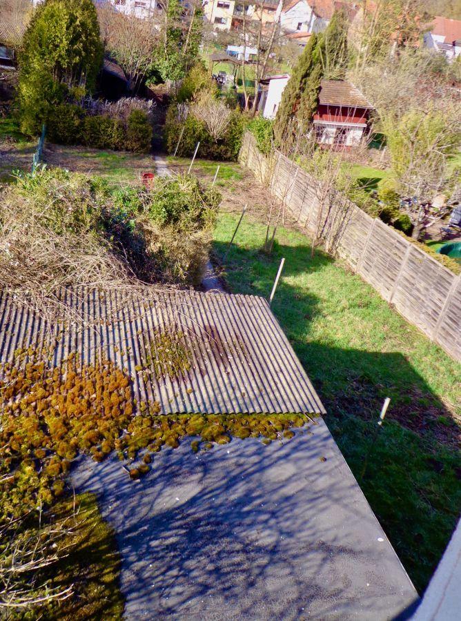 Garten_Ramsen
