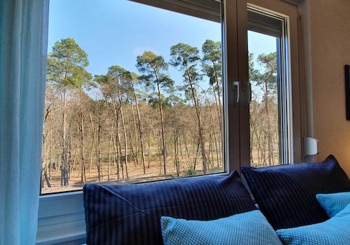 Blick in den Wald