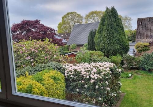 Blick aus Schlafzimmer 1