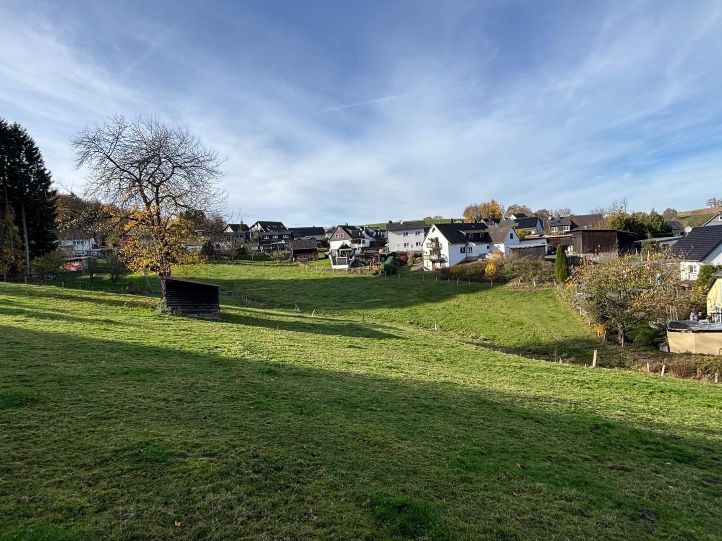 Wiesengrundstück