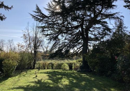Garten zum Main