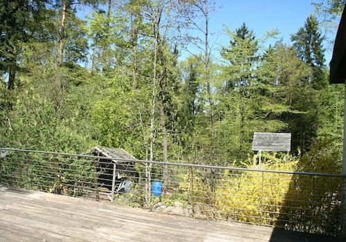 Ausblick Terrasse