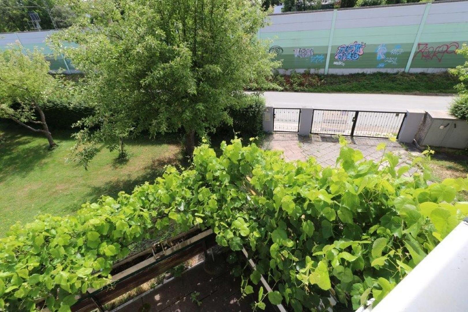 Garten von Oben 2