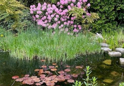 Garten