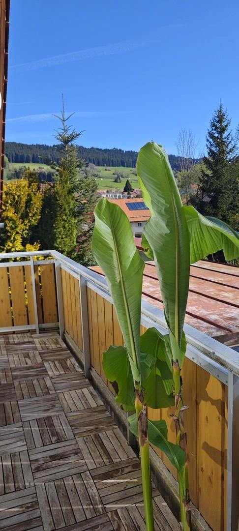 Blick vom Balkon