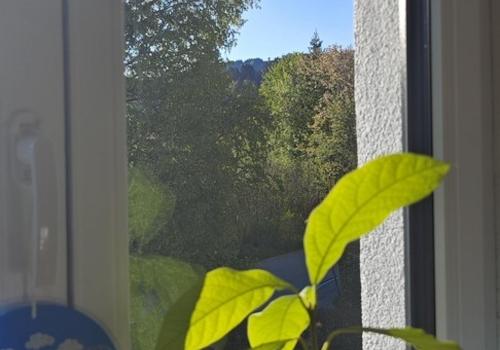 Hauchenbergblick