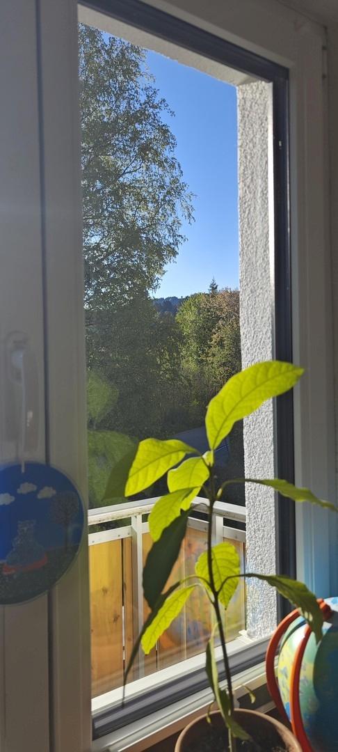 Hauchenbergblick