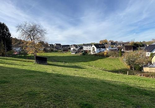 Wiesengrundstück