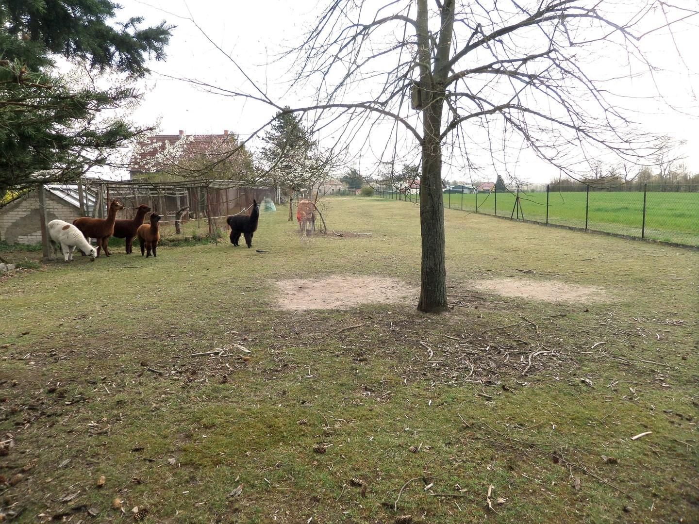 Gartenausschnitt