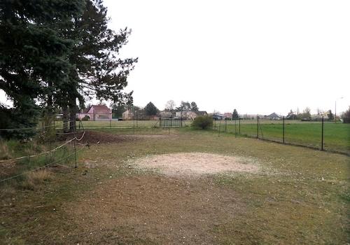 Gartenausschnitt