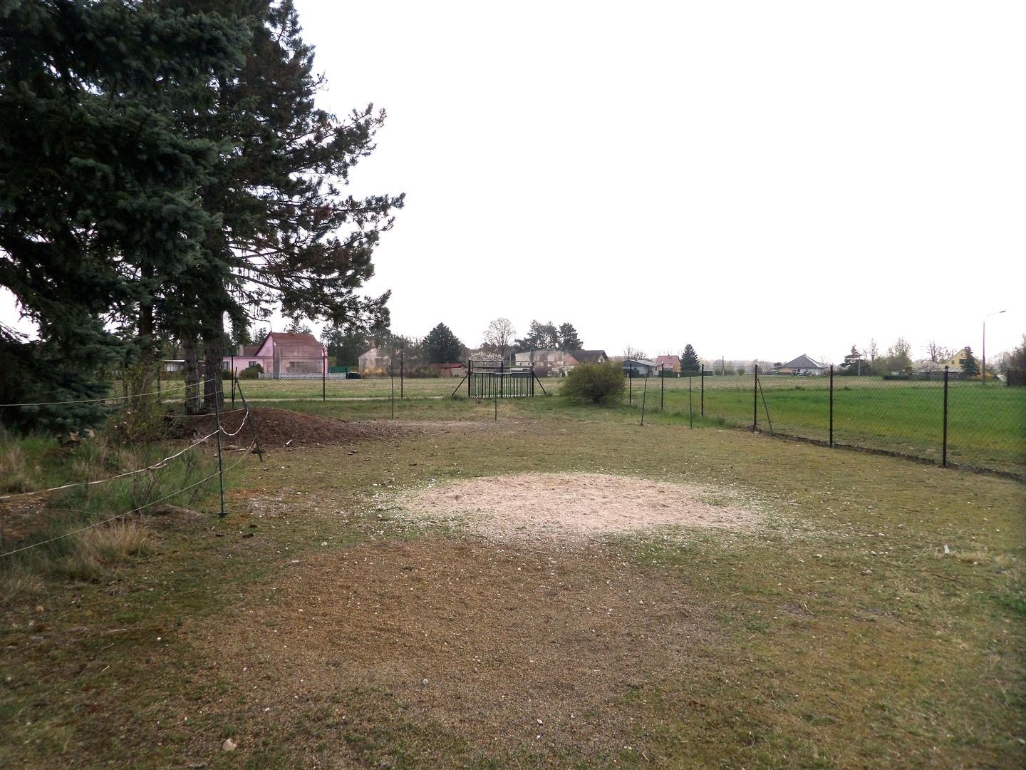 Gartenausschnitt
