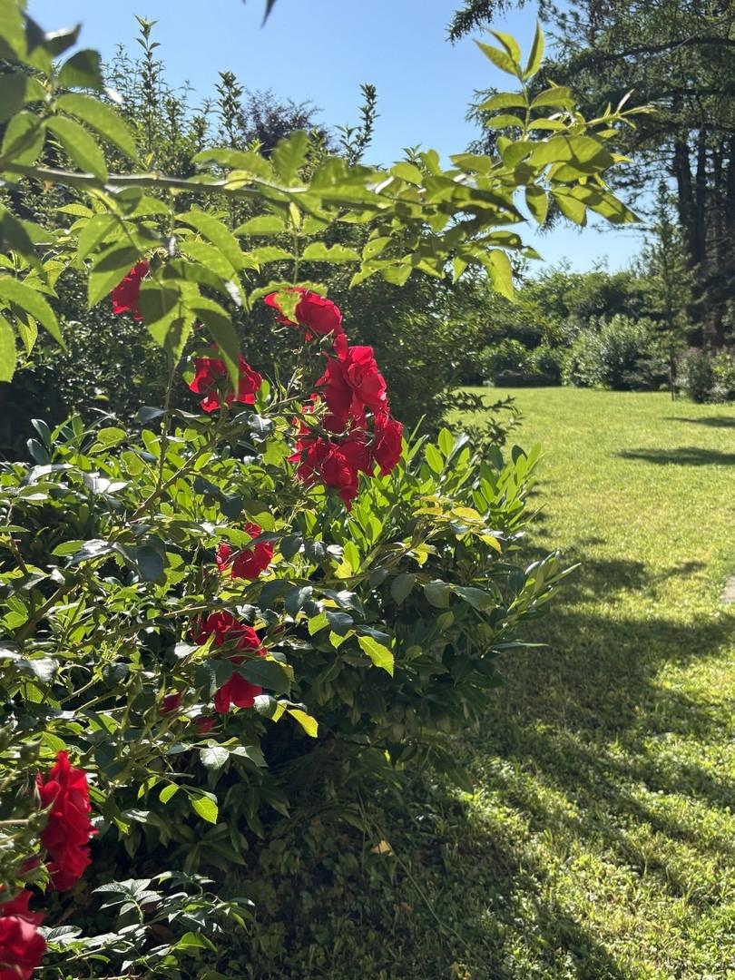 Gartenansicht