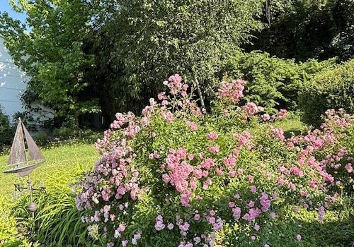 Gartenansicht2