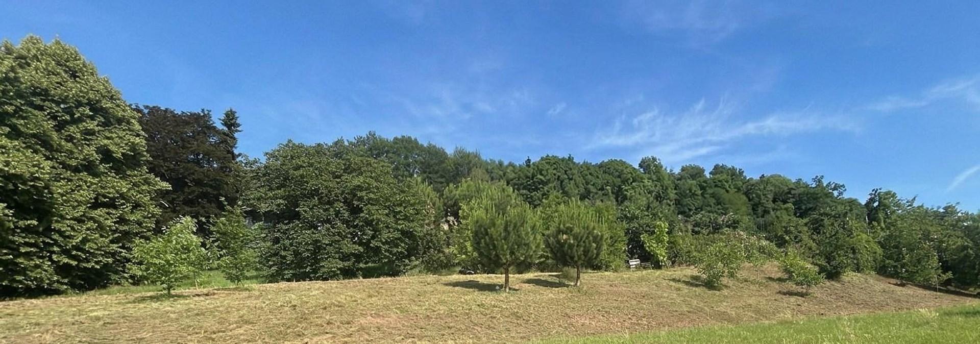 talseitiger Blick Grundstück