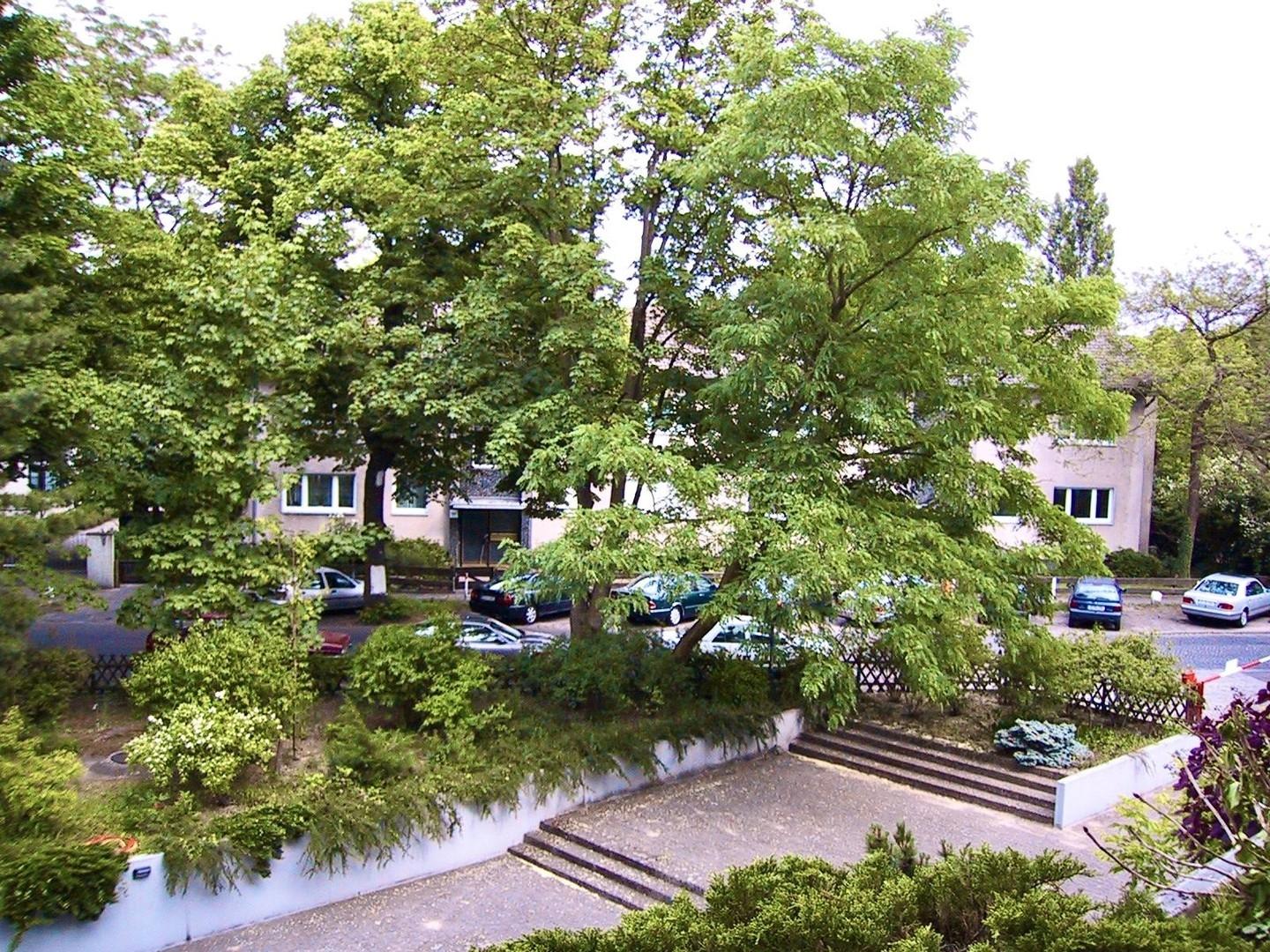 Blick von der Terrasse