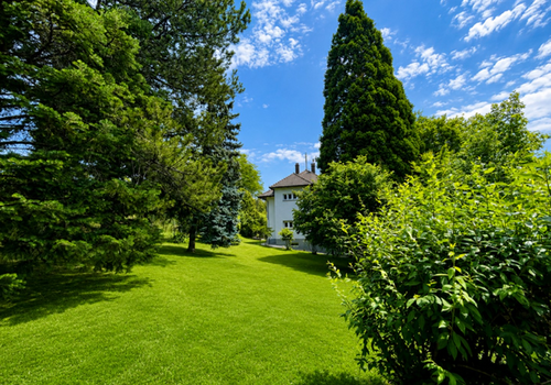 Garten Westseite