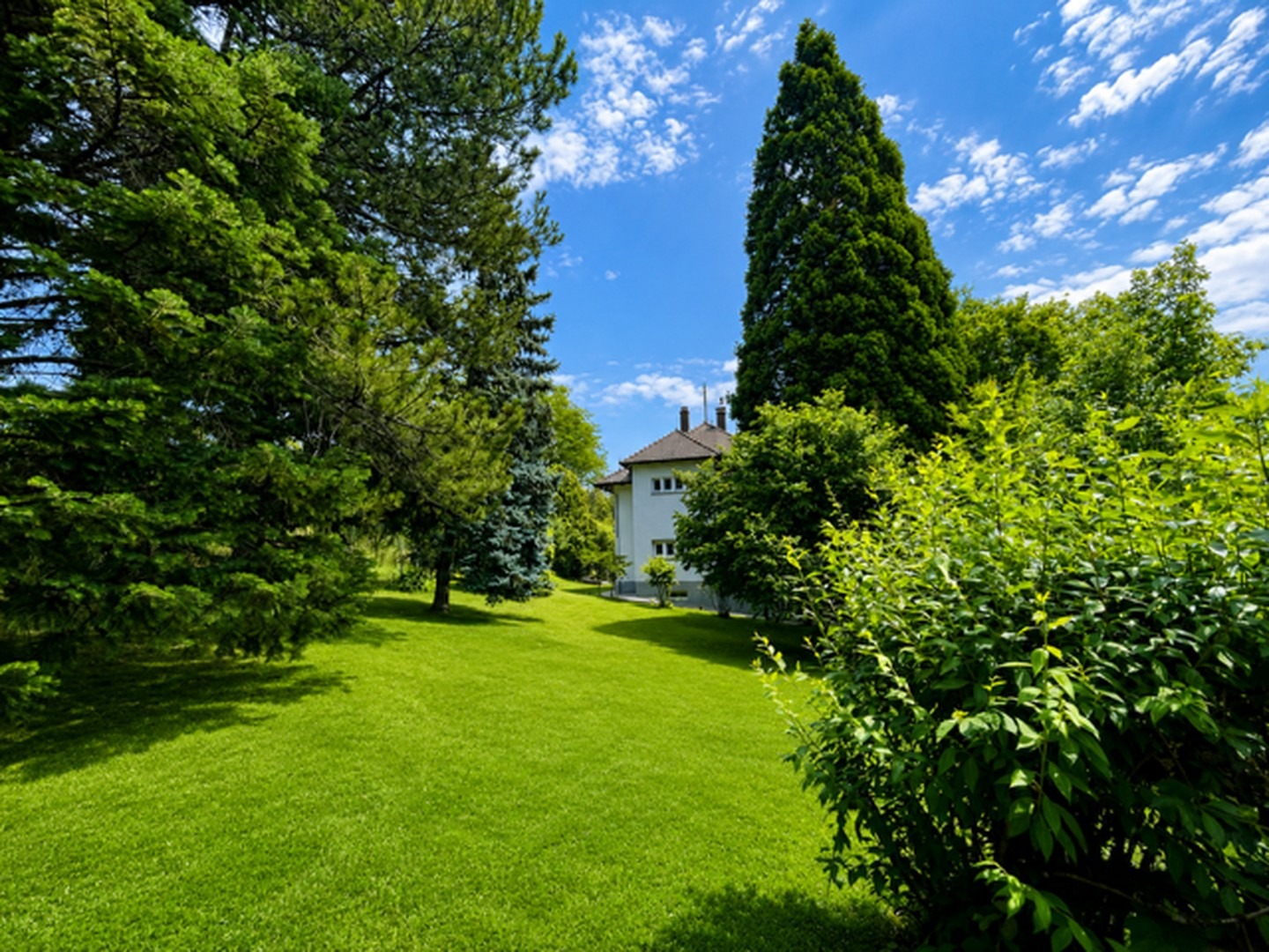 Garten Westseite