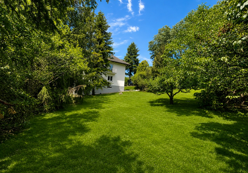 Garten Ost-Seite