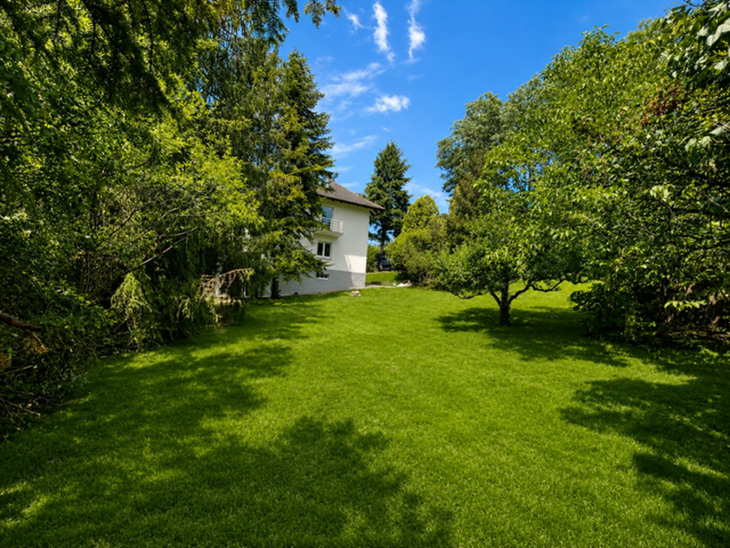Garten Ost-Seite