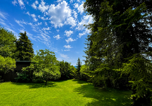 Garten Westseite