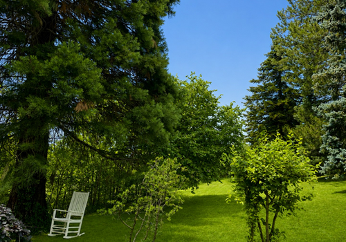 Garten Westseite