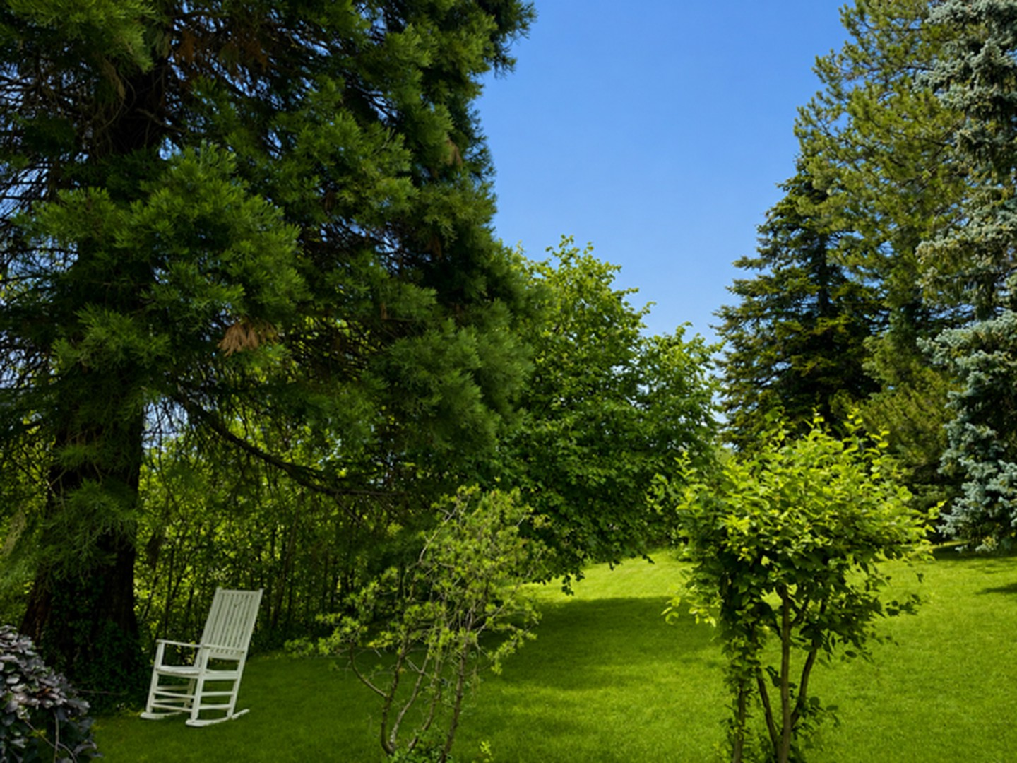 Garten Westseite