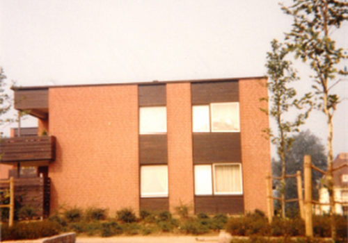 Älteres Bild 2 Bäume s.gewachs