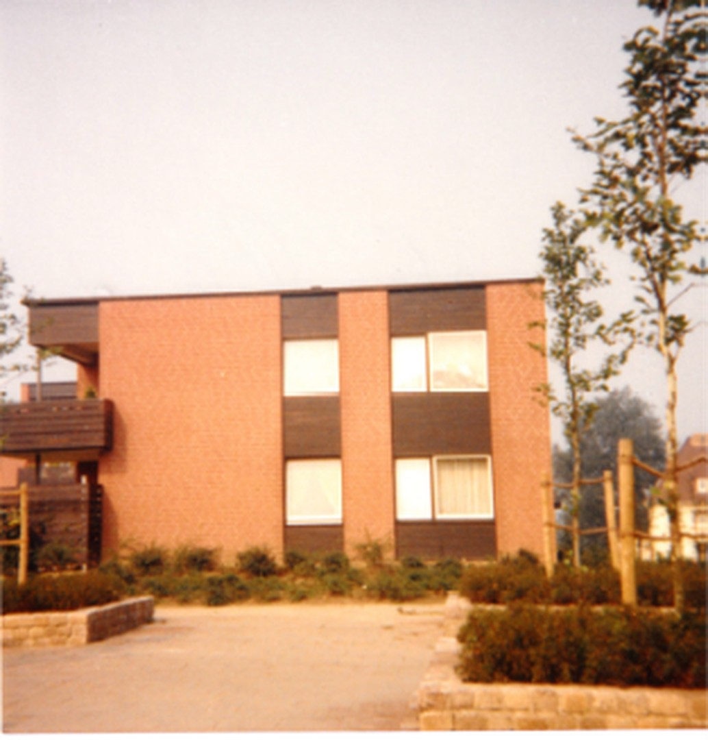 Älteres Bild 2 Bäume s.gewachs