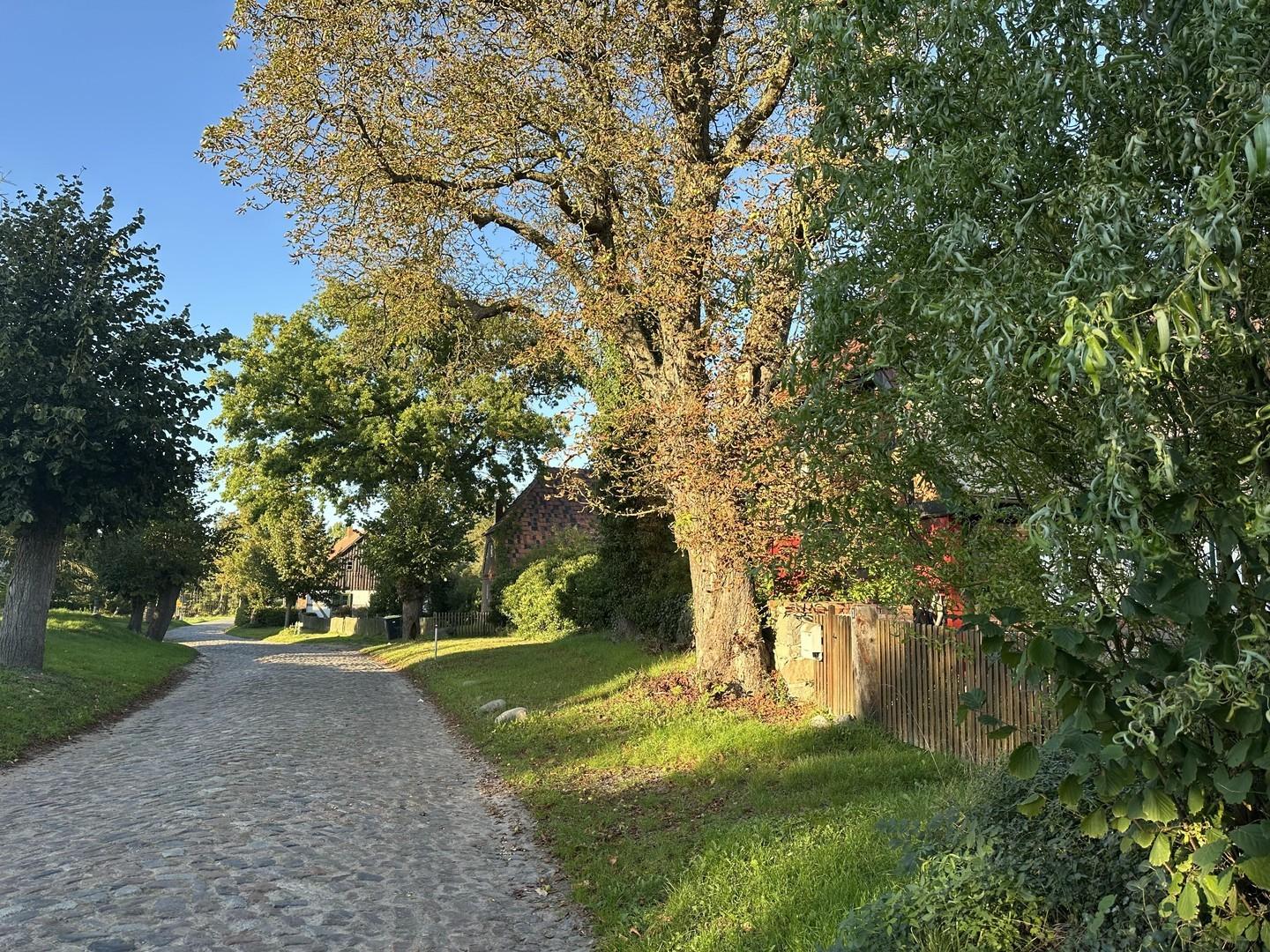Alte Dorfstraße