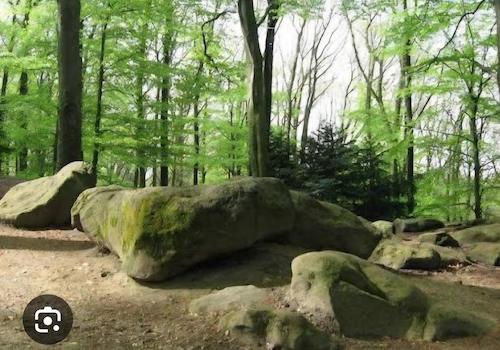 "Aaper Wald" Naturschutzgebiet