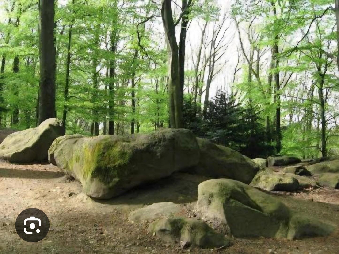 "Aaper Wald" Naturschutzgebiet