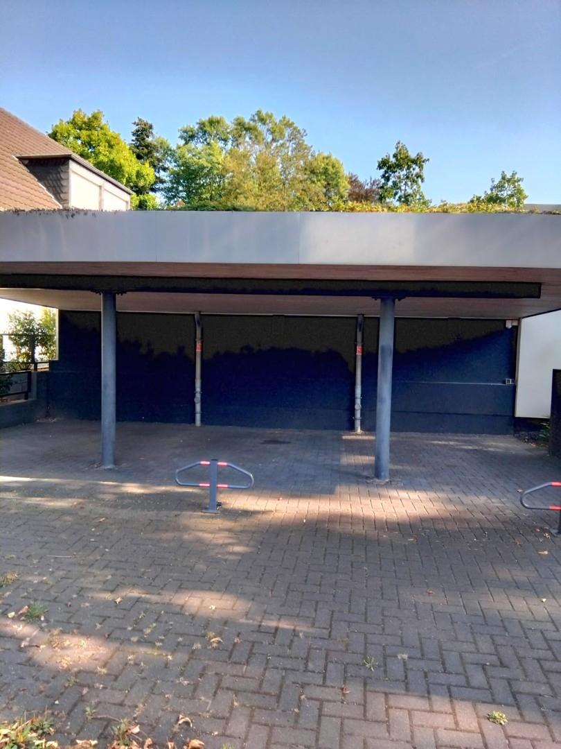 Dreier-Carport bepflanzt