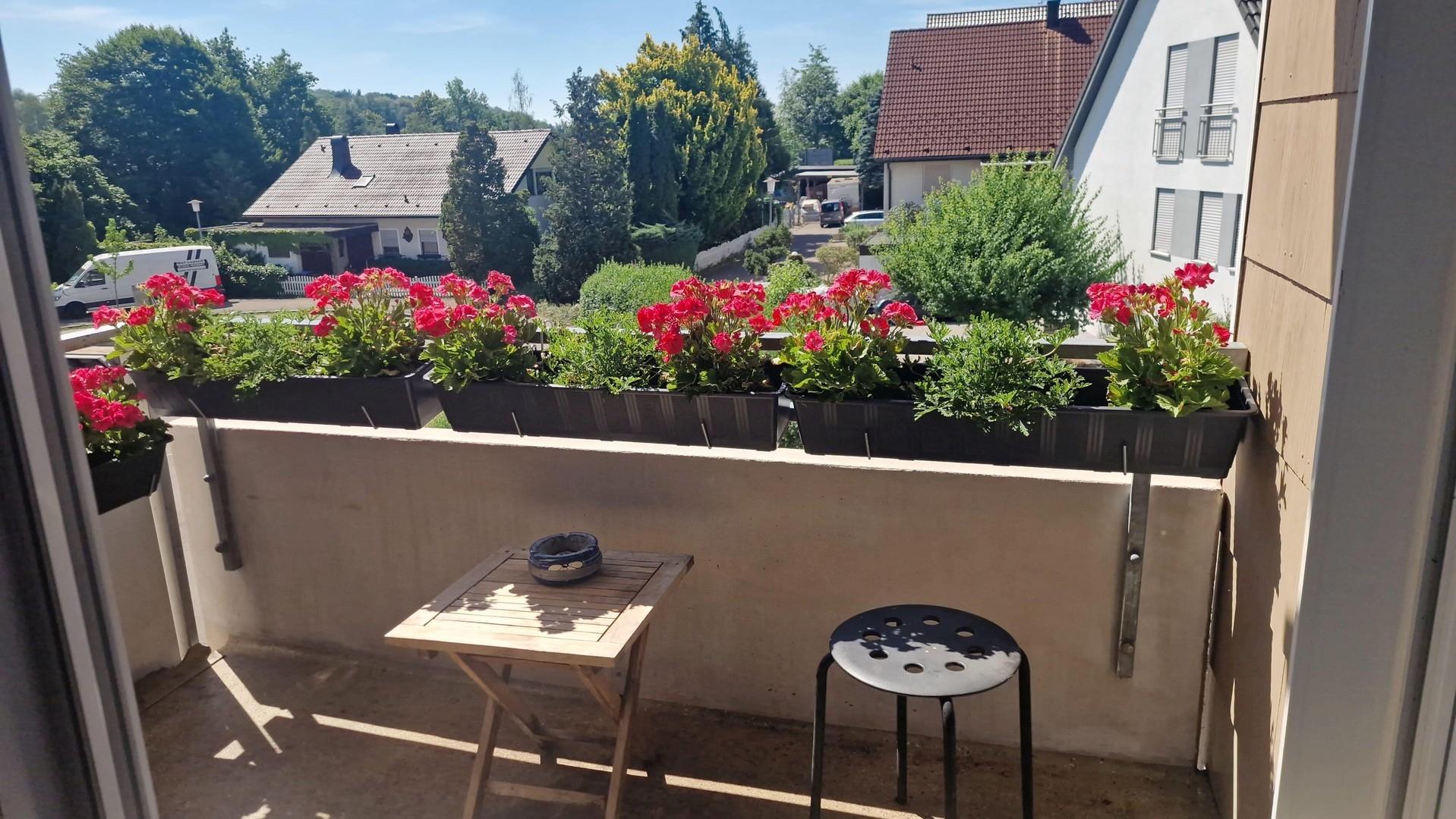 Aussicht vom Balkon