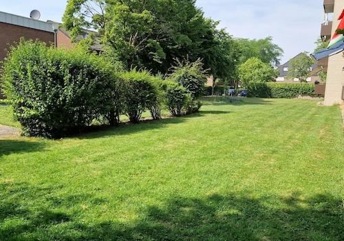 Gartenanlage/ Innenhof