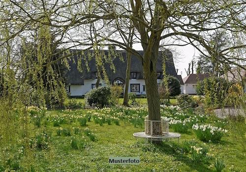 Keine Originalbilder