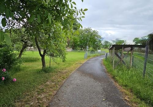 Teerstraße/Holzlager Ost